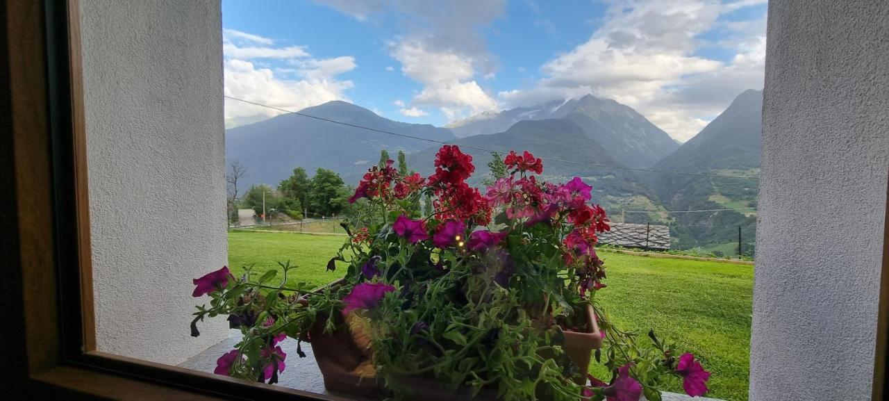 Bed and Breakfast Lo Noyer Et Les Roses Saint Nicolas Exterior foto