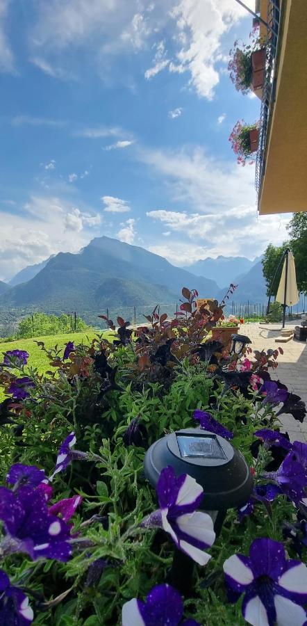 Bed and Breakfast Lo Noyer Et Les Roses Saint Nicolas Exterior foto